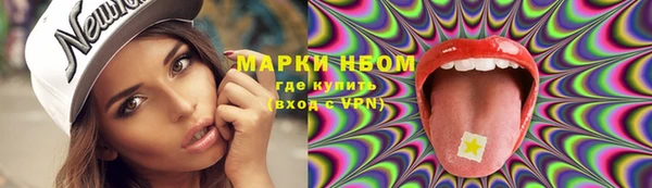 прущие грибы Аркадак