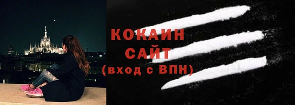 прущие грибы Аркадак