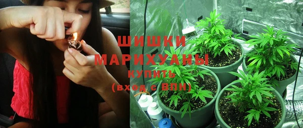 прущие грибы Аркадак