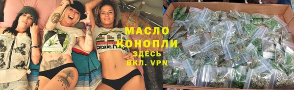 хмурый Арсеньев