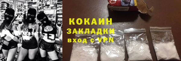 хмурый Арсеньев